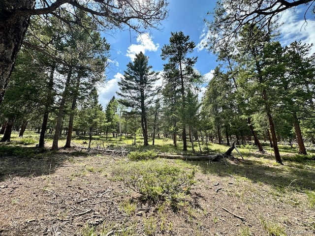 30385 National Forest Dr, Buena Vista, CO 81211