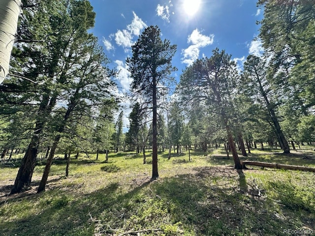 30385 National Forest Dr, Buena Vista, CO 81211