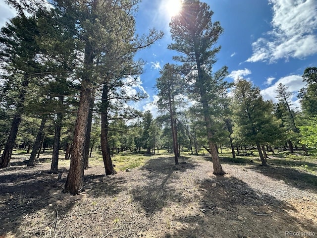 30385 National Forest Dr, Buena Vista, CO 81211