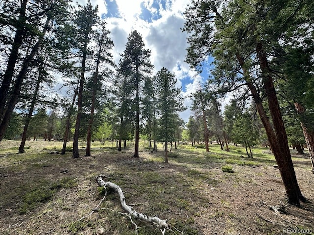 30385 National Forest Dr, Buena Vista, CO 81211