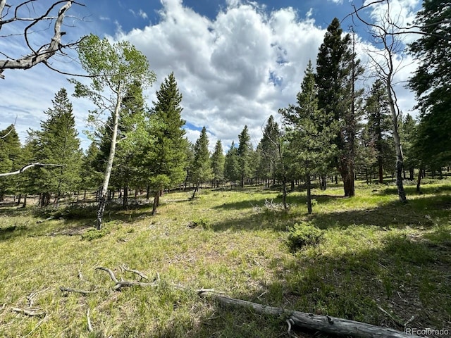 30385 National Forest Dr, Buena Vista, CO 81211