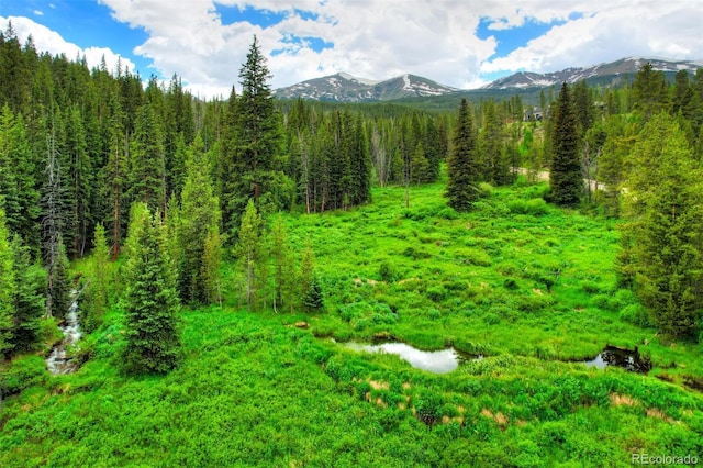 133 Adams Way, Breckenridge, CO 80424 - view of mountain background featuring a heavily wooded area
