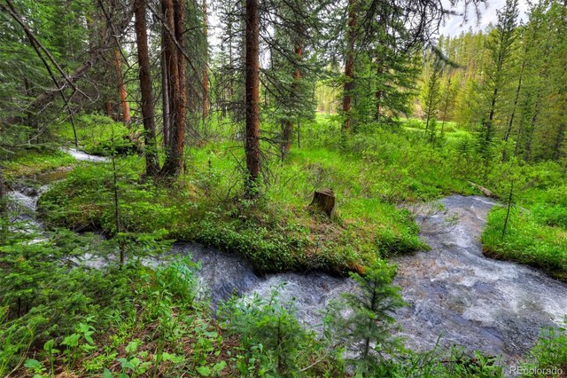 133 Adams Way, Breckenridge, CO 80424 - view of tree filled area
