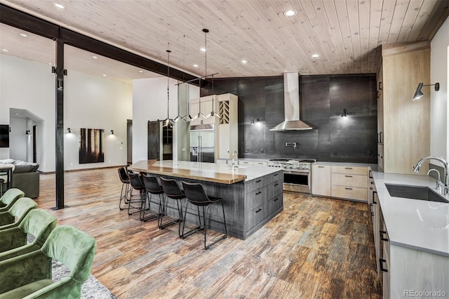 133 Adams Way, Breckenridge, CO 80424 - kitchen with wall chimney exhaust hood, a sink, premium appliances, modern cabinets, and a kitchen breakfast bar