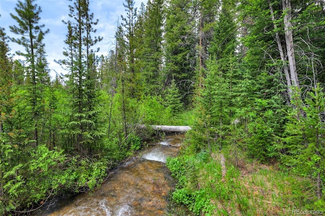 133 Adams Way, Breckenridge, CO 80424 - view of yard
