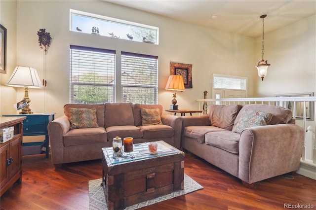 4061 Nordland Trl, Castle Rock, CO 80109 - living room featuring dark wood-type flooring, a towering ceiling, and a healthy amount of sunlight
