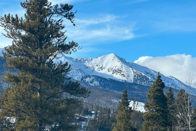 view of mountain feature