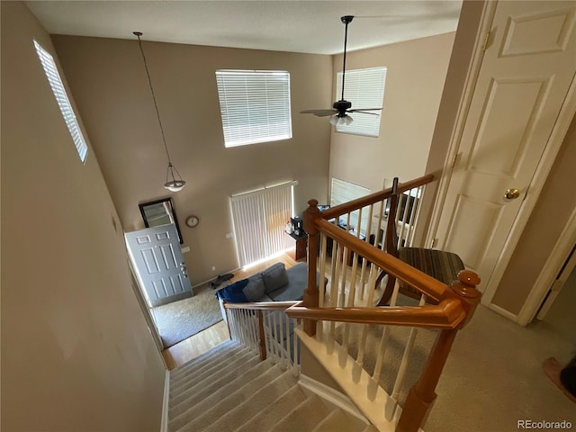 21300 E 42nd Ave, Denver, CO 80249 - staircase with carpet, a ceiling fan, and a towering ceiling