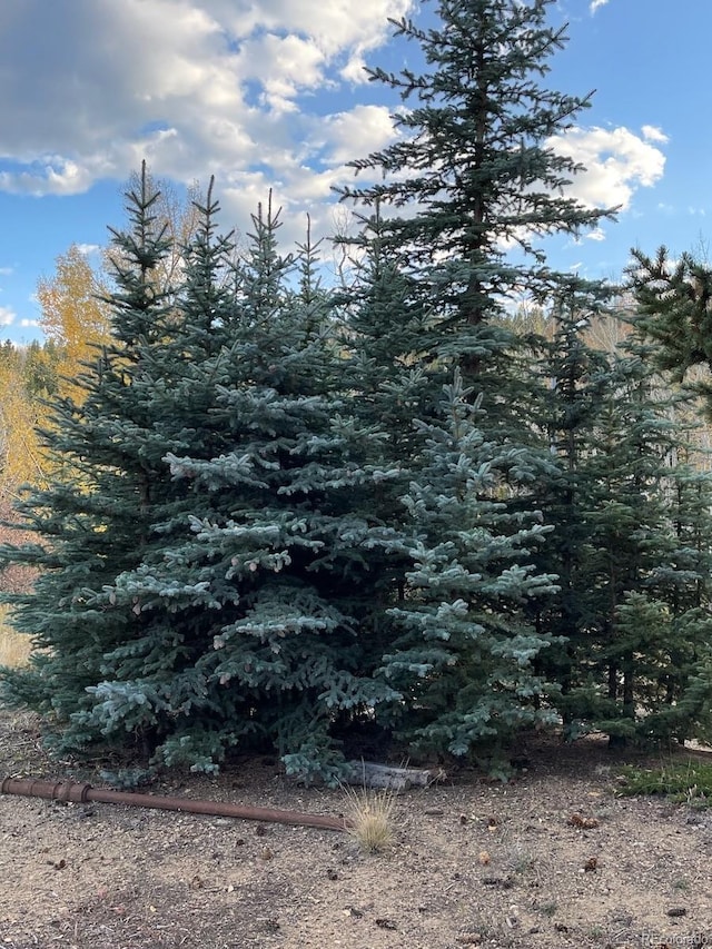 351 Eureka St, Central City, CO 80427 - photo 29