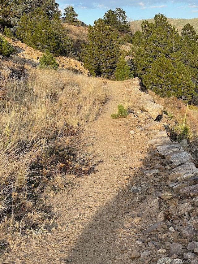 view of local wilderness