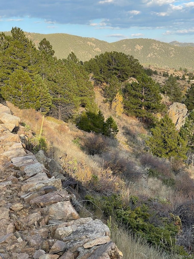 property view of mountains