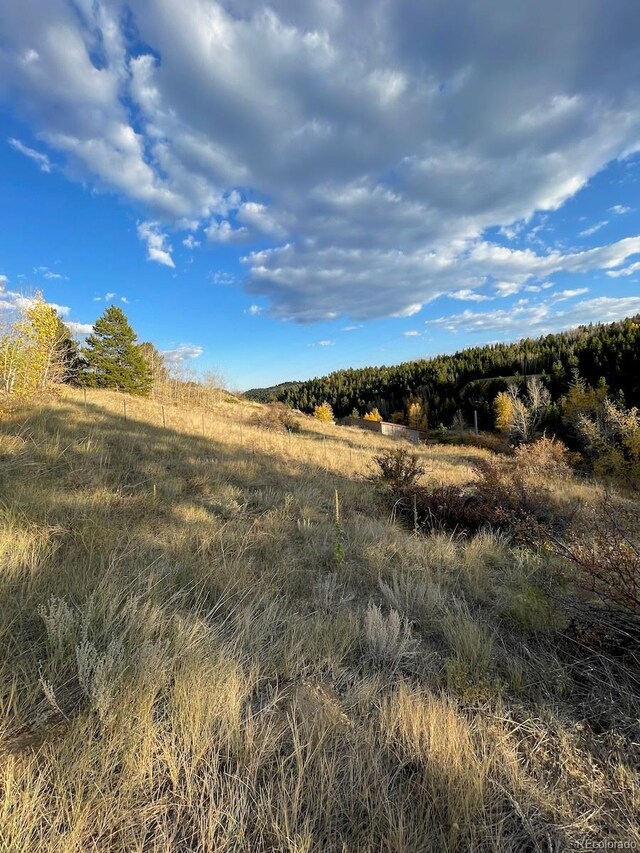 view of nature featuring a rural view