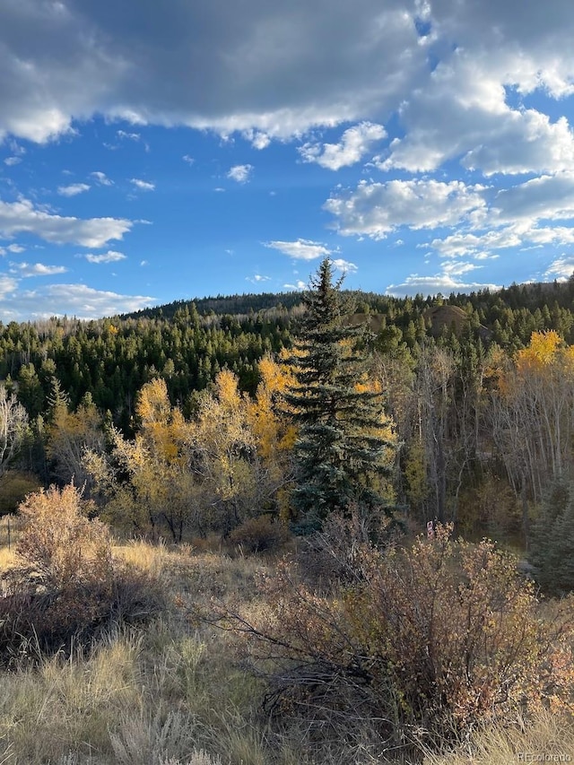351 Eureka St, Central City, CO 80427 - photo 35