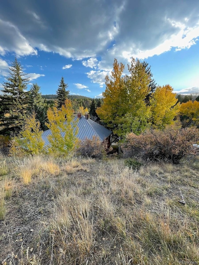 351 Eureka St, Central City, CO 80427 - photo 38