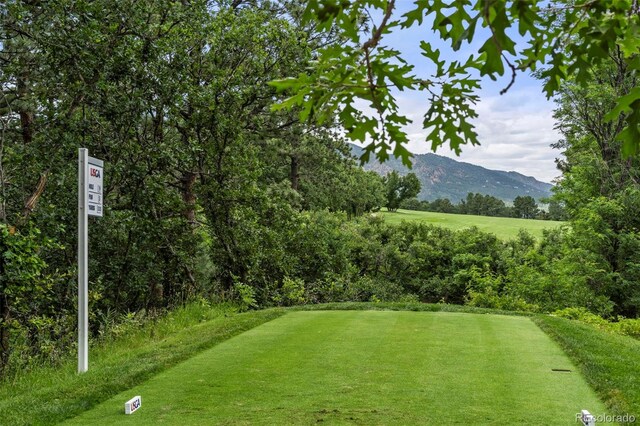 104 S Marland Rd, Colorado Springs, CO 80906 - photo 44