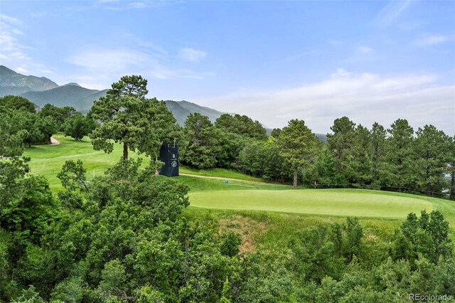 104 S Marland Rd, Colorado Springs, CO 80906 - photo 46