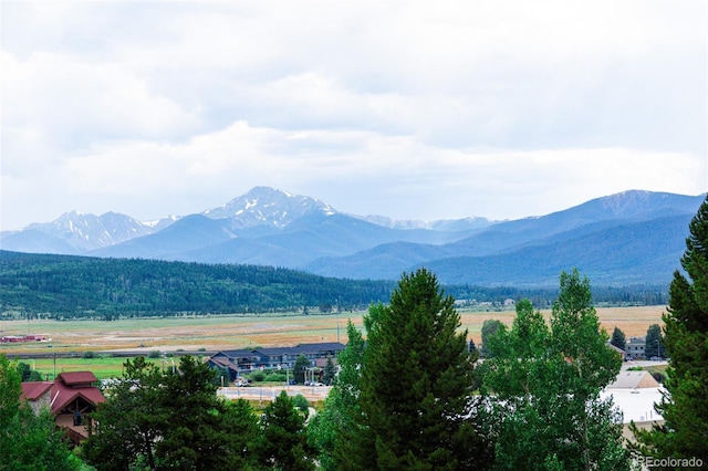 309 County Road 804 Unit E102, Fraser, CO 80442 - photo 10