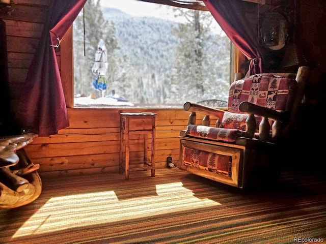 22585 County Road 292, Nathrop, CO 81236 - living area featuring wood finished floors, wood walls, and a mountain view