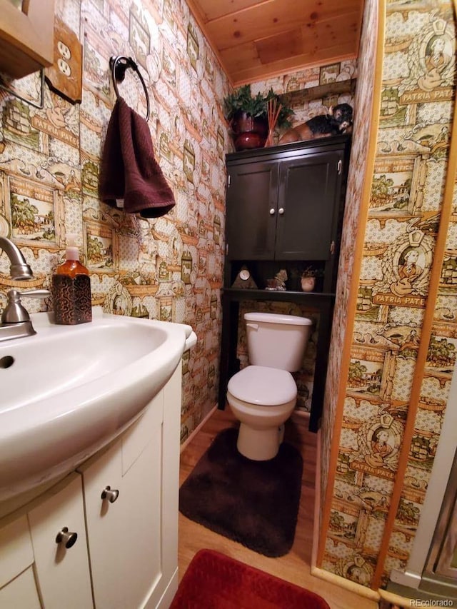 22585 County Road 292, Nathrop, CO 81236 - bathroom featuring vanity, wood finished floors, and wooden ceiling