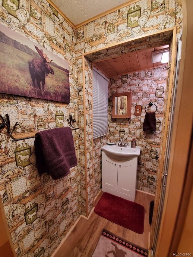 22585 County Road 292, Nathrop, CO 81236 - bathroom featuring vanity and wood finished floors