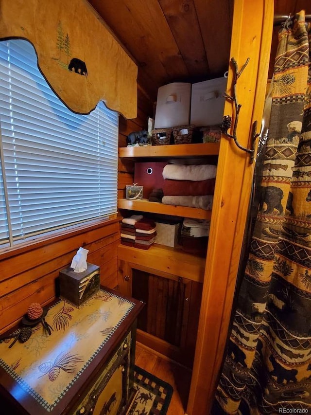 22585 County Road 292, Nathrop, CO 81236 - view of storage room