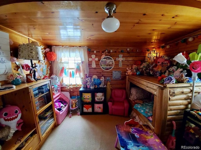 22585 County Road 292, Nathrop, CO 81236 - rec room featuring wood ceiling and carpet floors