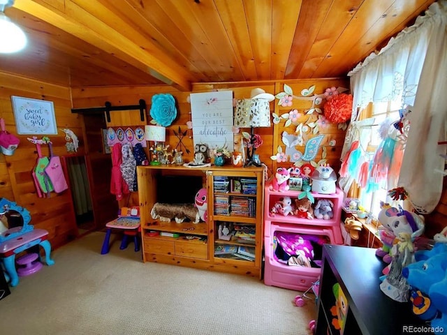 22585 County Road 292, Nathrop, CO 81236 - recreation room with wood ceiling, wooden walls, carpet floors, and a barn door