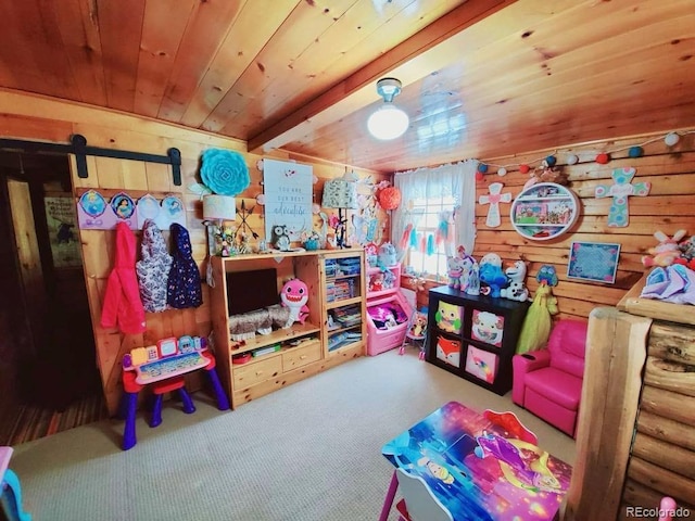 22585 County Road 292, Nathrop, CO 81236 - recreation room with wood ceiling, carpet floors, a barn door, and wooden walls