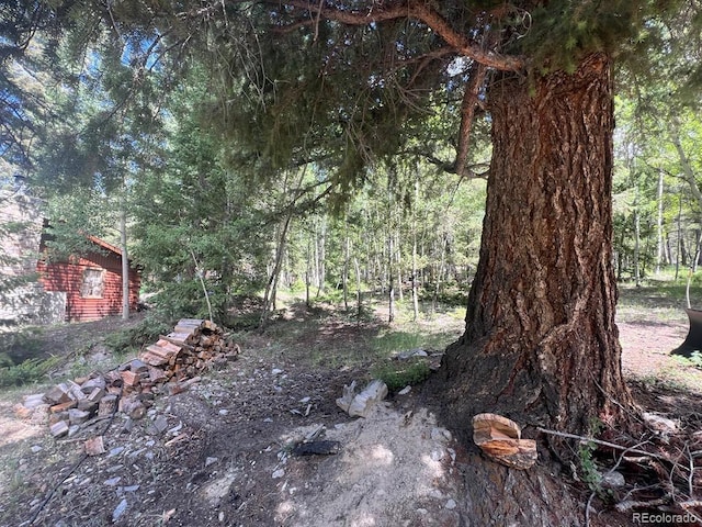 22585 County Road 292, Nathrop, CO 81236 - view of nature