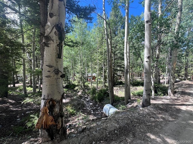 22585 County Road 292, Nathrop, CO 81236 - view of undeveloped land