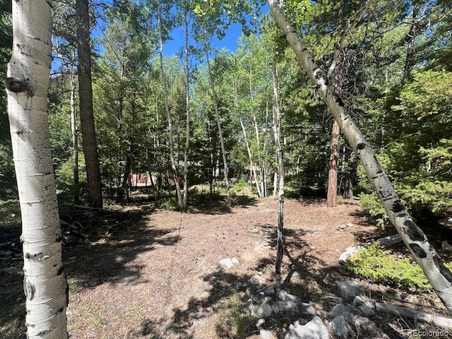 22585 County Road 292, Nathrop, CO 81236 - view of local wilderness