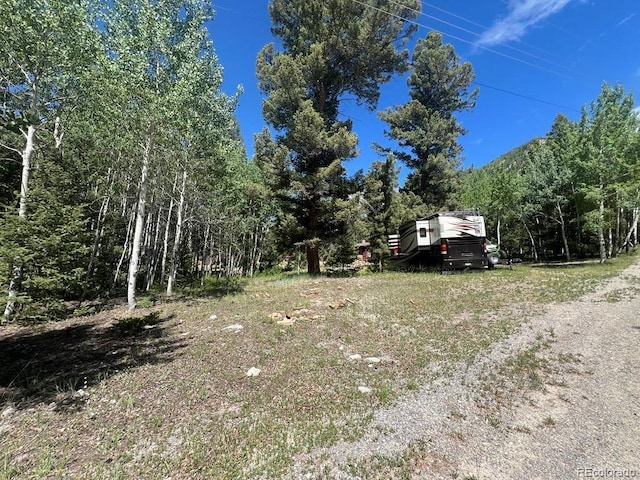 22585 County Road 292, Nathrop, CO 81236 - view of yard featuring a forest view