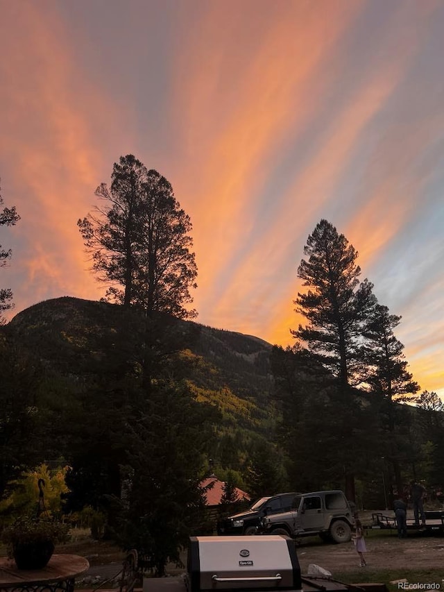 22585 County Road 292, Nathrop, CO 81236 - mountain view