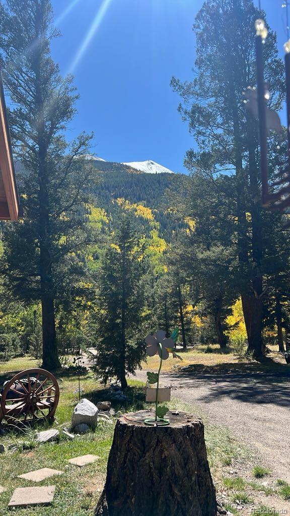 22585 County Road 292, Nathrop, CO 81236 - view of yard featuring a wooded view