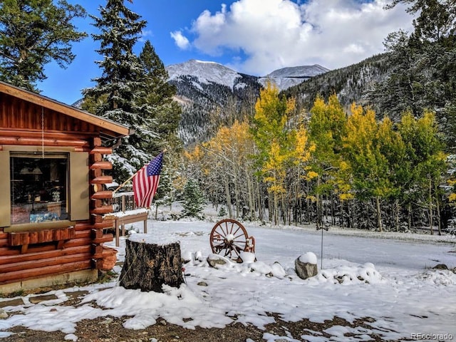 22585 County Road 292, Nathrop, CO 81236 - snowy yard featuring a mountain view