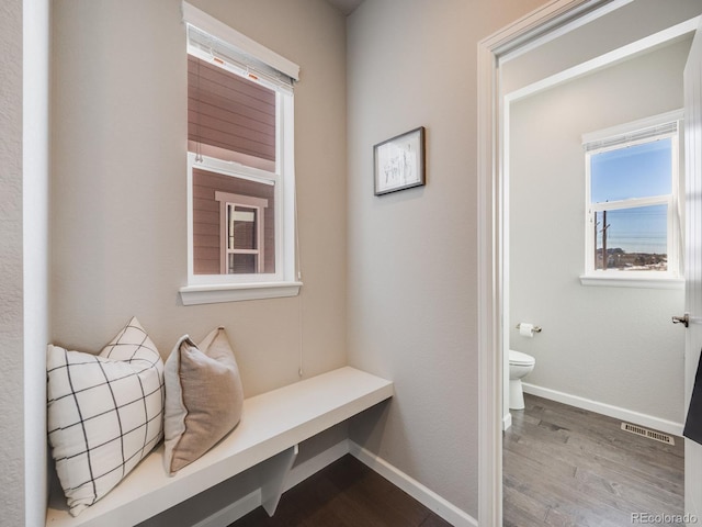 mudroom featuring wood-type flooring