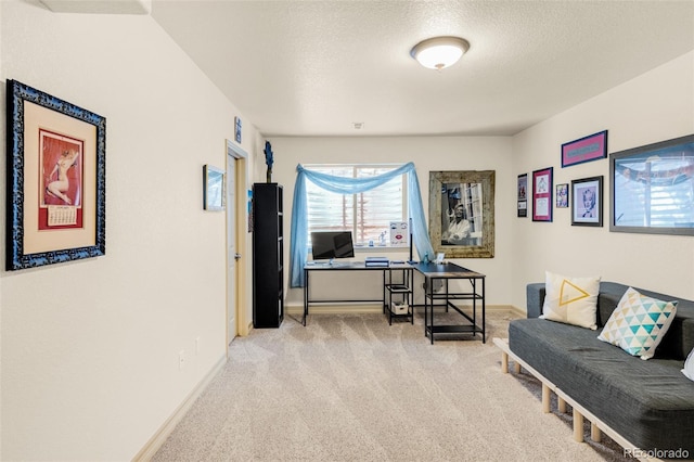 interior space with light colored carpet and a textured ceiling