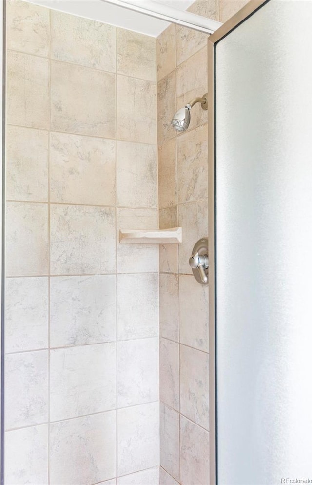 6982 Estes Dr, Arvada, CO 80004 - bathroom view of a shower stall