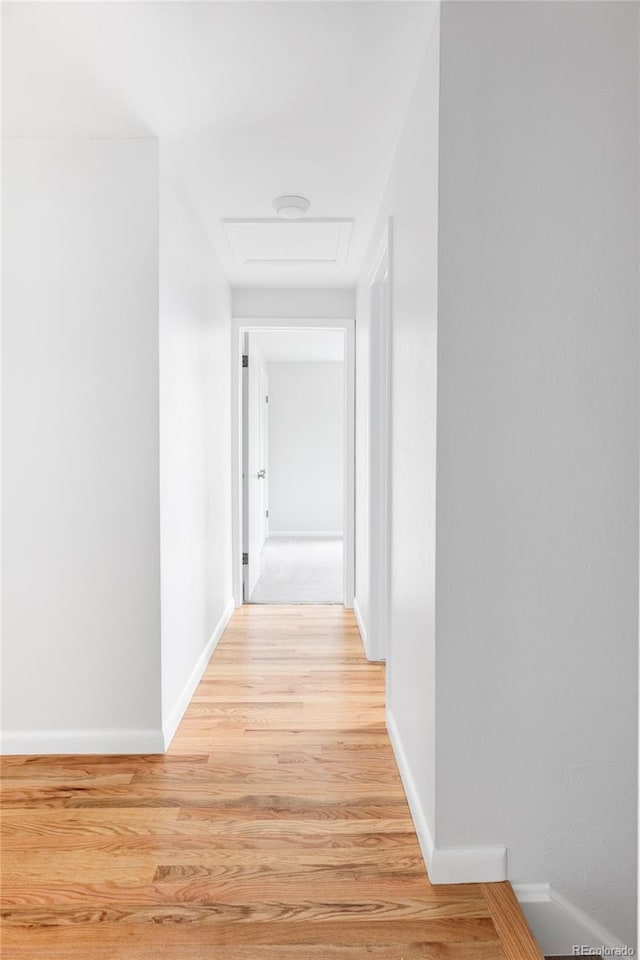 6982 Estes Dr, Arvada, CO 80004 - corridor featuring attic access, light wood-style flooring, and baseboards
