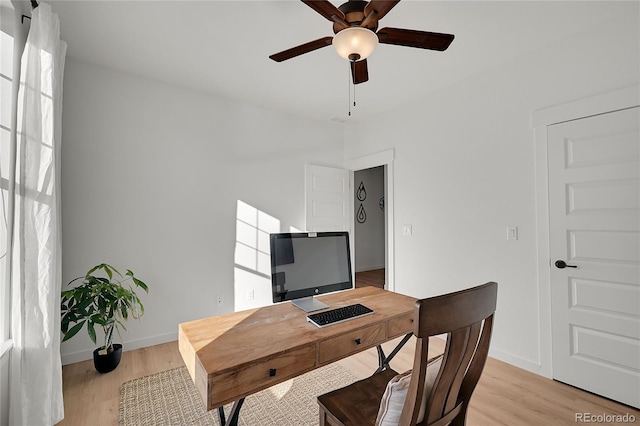 office featuring ceiling fan and light wood-type flooring