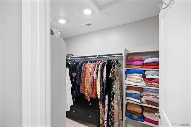 view of walk in closet