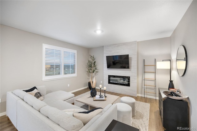 living room with hardwood / wood-style floors and a large fireplace