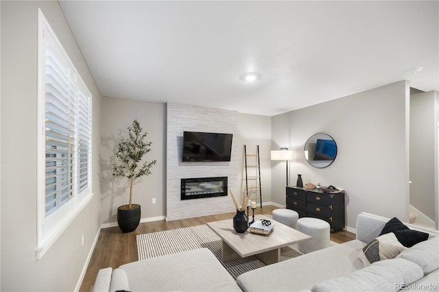 living room featuring a large fireplace and hardwood / wood-style flooring