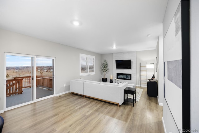 living room featuring a fireplace and light hardwood / wood-style flooring