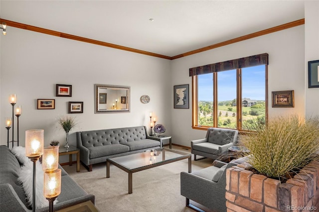 2561 Marlin Way, Castle Rock, CO 80109 - photo 6