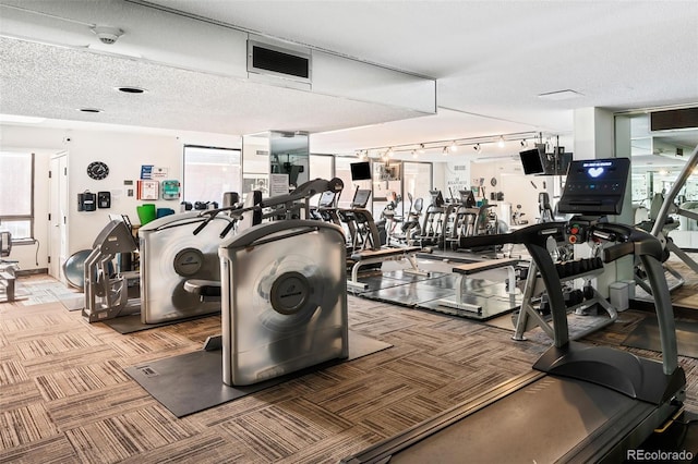 exercise room featuring a textured ceiling, a healthy amount of sunlight, visible vents, and light carpet