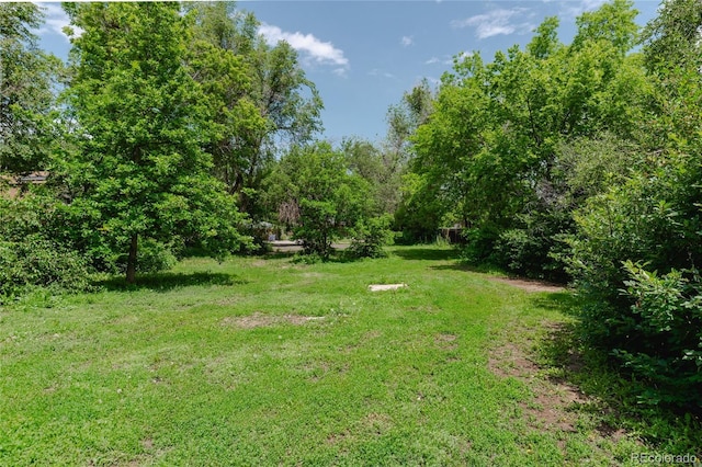 2665 W College Ave, Denver, CO 80219 - view of grassy yard