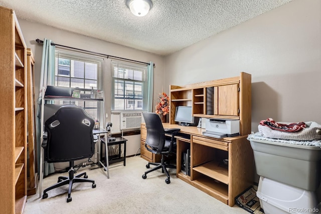 2072 S Helena St Unit B, Aurora, CO 80013 - office space featuring light carpet and a textured ceiling