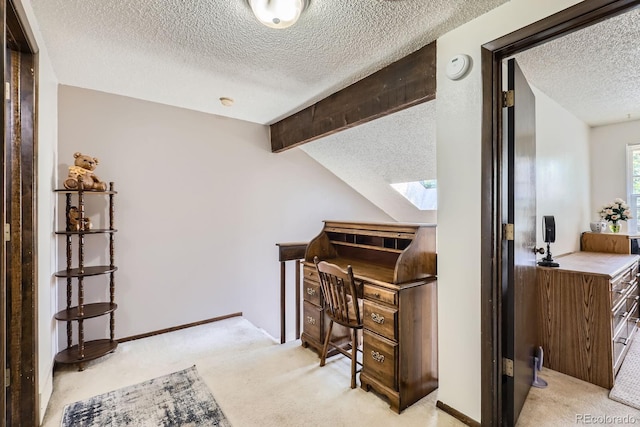 2072 S Helena St Unit B, Aurora, CO 80013 - office area with a textured ceiling, a skylight, and carpet