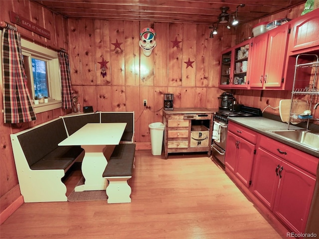 kitchen featuring stainless steel gas range, a sink, wood walls, and light wood finished floors